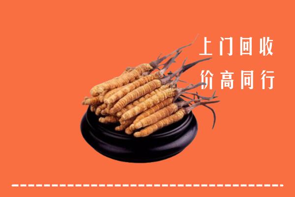 高价求购：阜新太平回收散虫草