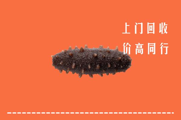 高价求购：阜新太平回收海参