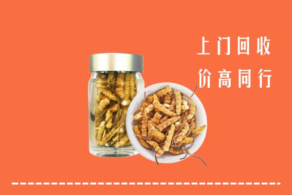 阜新太平高价回收冬虫夏草
