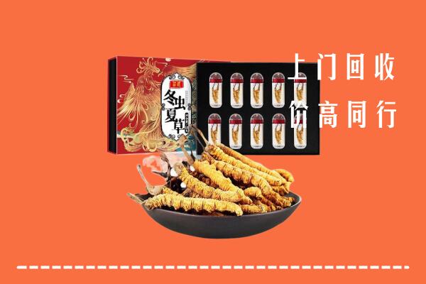 收购行情：阜新太平回收虫草
